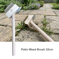 Patio Weed Brush Short Handle
