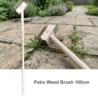 Patio Weed Brush Long Handle