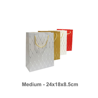 Gift Bags Medium 24x18x8.5cm