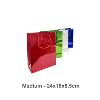 Gift Bags Holographic Medium 24x18x8.5cm